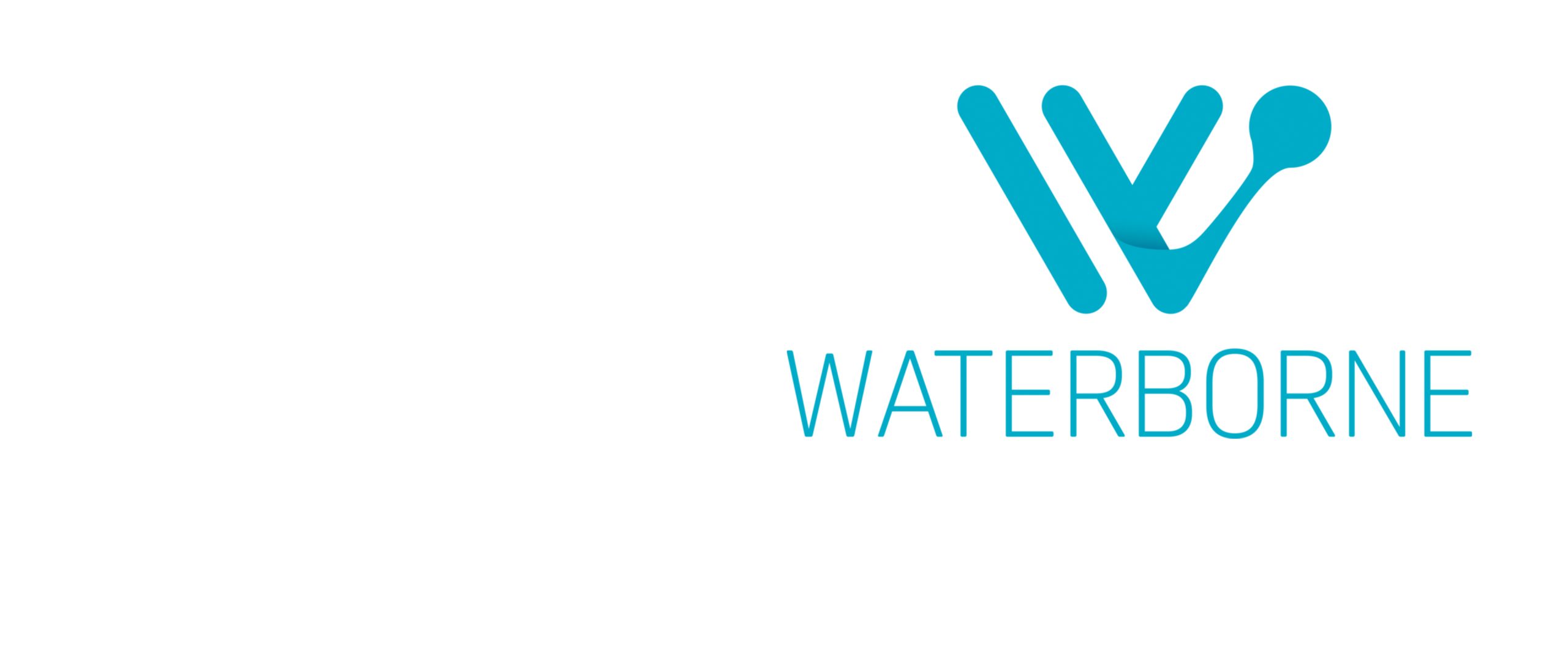 Zero-Emission Waterborne Transport