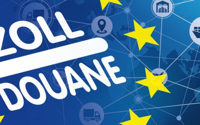 Evaluierung des Erhebungsverfahrens zur Einfuhrumsatzsteuer