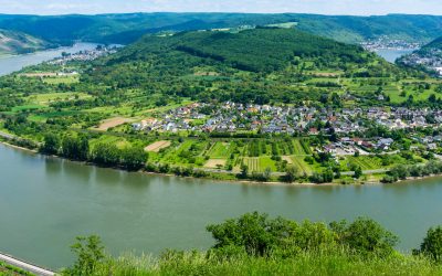 Expert report on water law