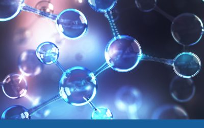 Maritime Research Forum 2023 – Interviews