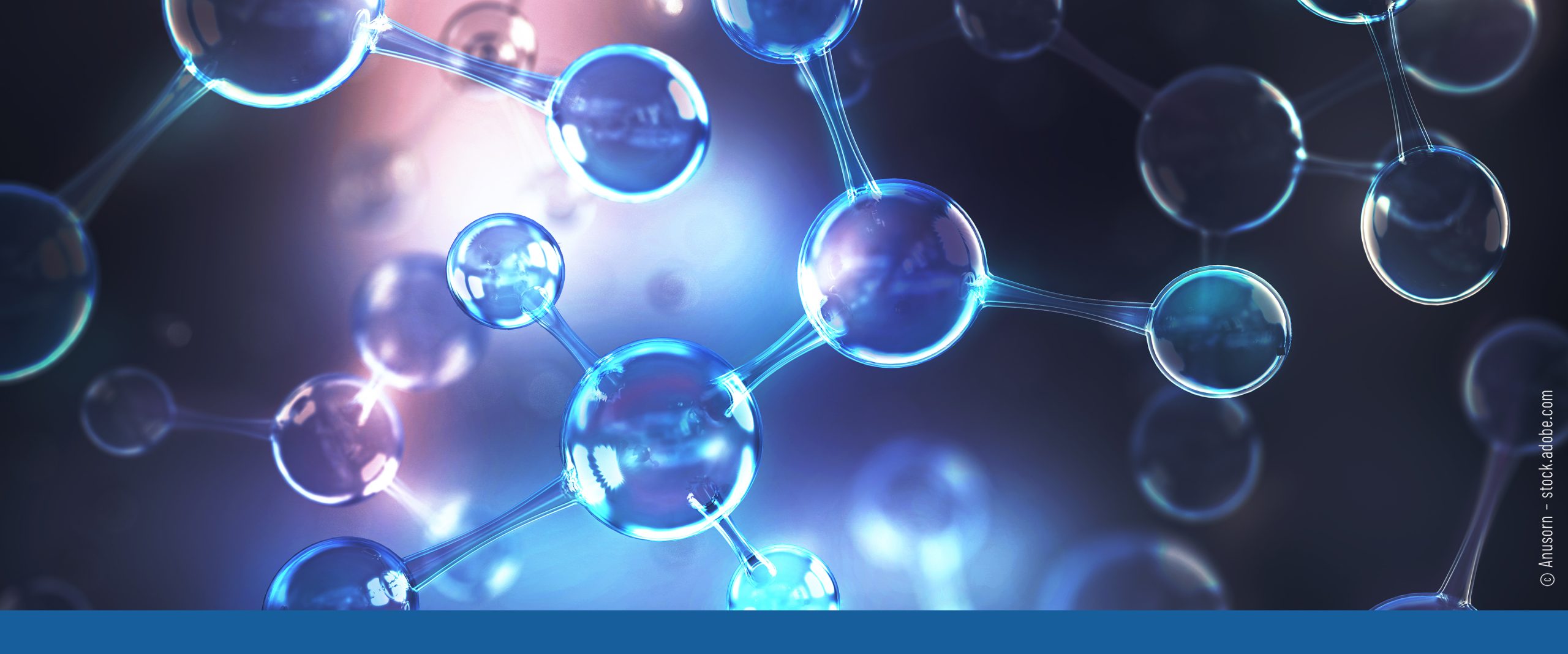 Maritime Research Forum 2023 – Interviews