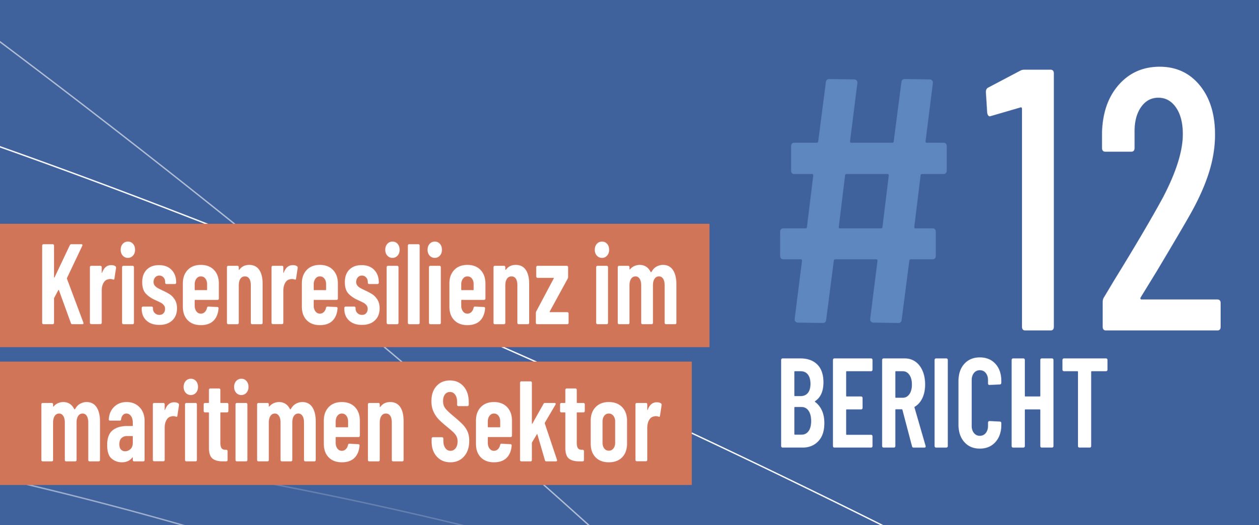 12. Bericht zur Krisenresilienz im maritimen Sektor